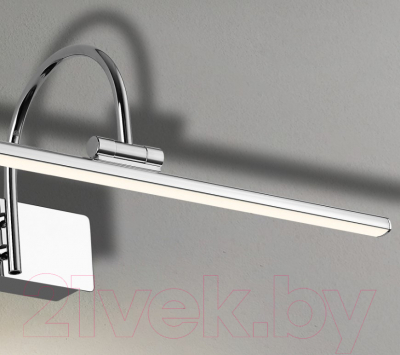 Подсветка для картин и зеркал FAVOURITE Strenuus 2431-1W