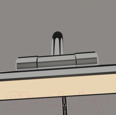 Подсветка для картин и зеркал FAVOURITE Strenuus 2431-1W