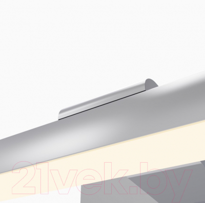 Подсветка для картин и зеркал FAVOURITE Scriptor 2433-1W