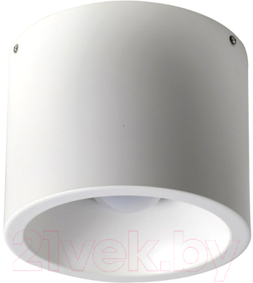 Точечный светильник FAVOURITE Reflector 1993-1C - фото