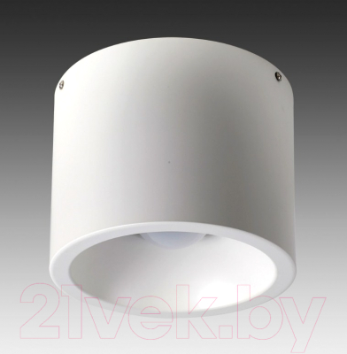 Точечный светильник FAVOURITE Reflector 1993-1C