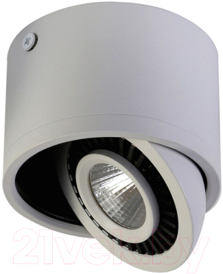 Точечный светильник FAVOURITE Reflector 1775-1C - фото