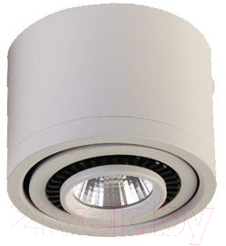 Точечный светильник FAVOURITE Reflector 1775-1C