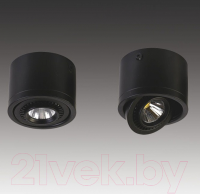 Точечный светильник FAVOURITE Reflector 1777-1C