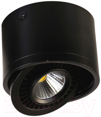 Точечный светильник FAVOURITE Reflector 1777-1C