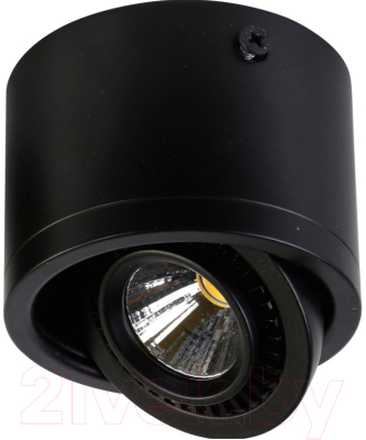 Точечный светильник FAVOURITE Reflector 1778-1C - фото