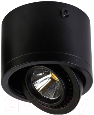 Точечный светильник FAVOURITE Reflector 1778-1C