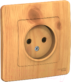 Розетка Schneider Electric Blanca BLNRS000015 - фото