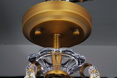 Потолочный светильник Arte Lamp Schelenberg A4410PL-1SR