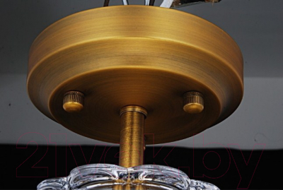 Потолочный светильник Arte Lamp Schelenberg A4410PL-1SR