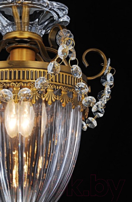 Потолочный светильник Arte Lamp Schelenberg A4410PL-1SR