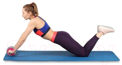 Ролик для пресса Indigo Sport SM-342