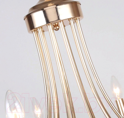 Люстра F-Promo F-promo Plini 2591-12P