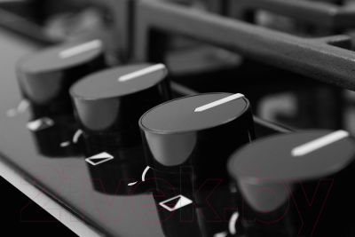 Газовая варочная панель Hansa BHGS630502