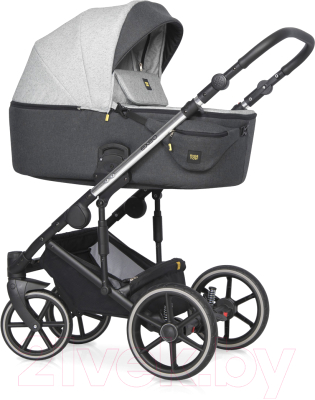 Детская универсальная коляска Expander Exeo 2 в 1