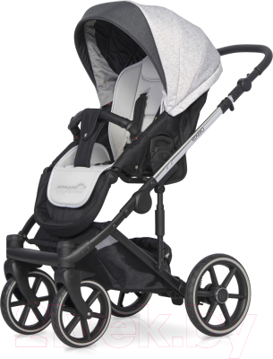 Детская универсальная коляска Expander Exeo 2 в 1