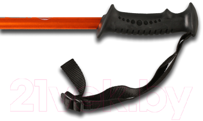 Палки для скандинавской ходьбы Indigo SL-1-3 М1