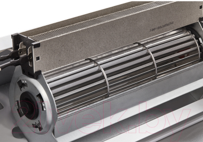 Тепловая завеса Ballu BHC-L10-S06-SP