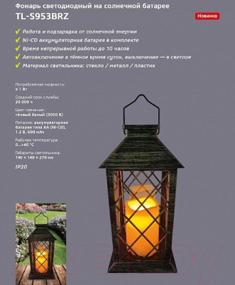 Светильник уличный ArtStyle TL-S953BRZ