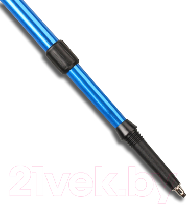 Палки для скандинавской ходьбы Indigo SL-1-3