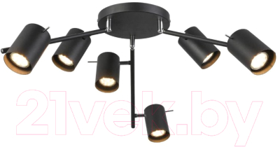 Люстра ST Luce Fanale SL597.402.06 - фото