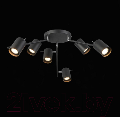 Люстра ST Luce Fanale SL597.402.06