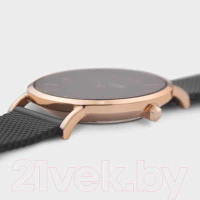 Часы наручные женские Cluse CW0101203024