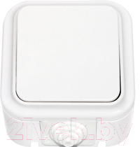 Выключатель Bylectrica Пралеска Аква А1 4-100 - фото