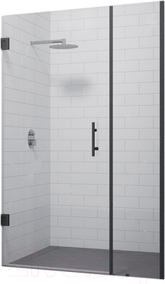 Душевая дверь RGW HO-012B / 350601211-14 - фото