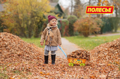 Тележка для песочницы Полесье №3 с ручкой / 84279