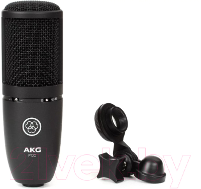 Микрофон AKG P120