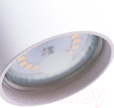 Потолочный светильник Arte Lamp Canopus A1516SP-1WH