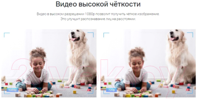 IP-камера TP-Link Tapo C100