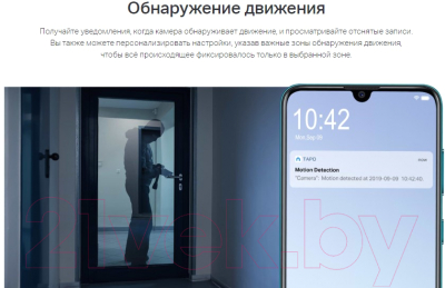 IP-камера TP-Link Tapo C100