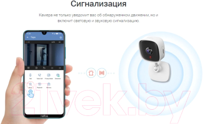 IP-камера TP-Link Tapo C100