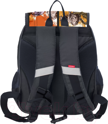 Школьный рюкзак Grizzly RAk-091-2