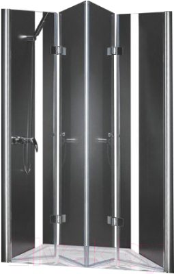 Душевая дверь Cezares ELENA-W-BS-22-200-C-Cr - фото