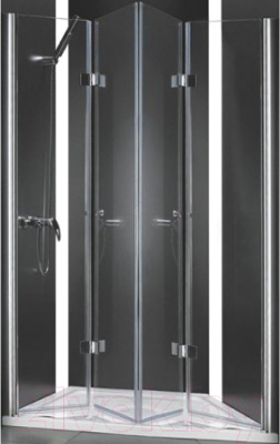 Душевая дверь Cezares ELENA-W-BS-22-200-C-Cr