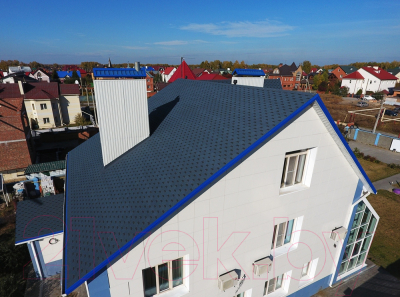 Черепица Docke Pie Premium Кёльн Чернослив