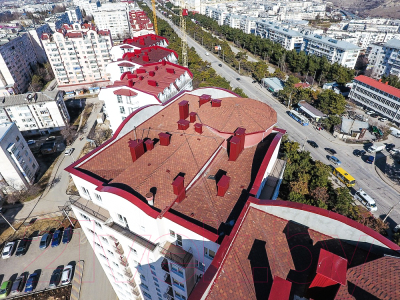 Черепица Docke Pie Standard Сота Красный