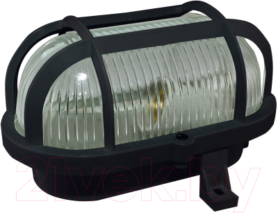 Светильник ЖКХ TDM НБП 02-60-004.03У Евро корпус - фото