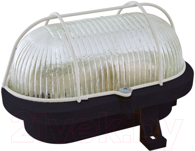 Светильник ЖКХ TDM НБП 02-60-019.01 Евро корпус - фото