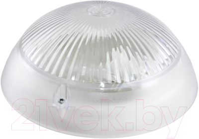 Светильник ЖКХ TDM НПП 03-100-010.01 У3 Сириус - фото