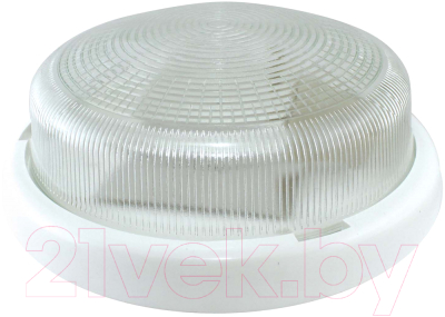 Светильник ЖКХ TDM НПП 03-100-015.01 УХЛ4 Рондо - фото