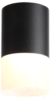 Потолочный светильник ST Luce Ottu ST100.402.10 - фото