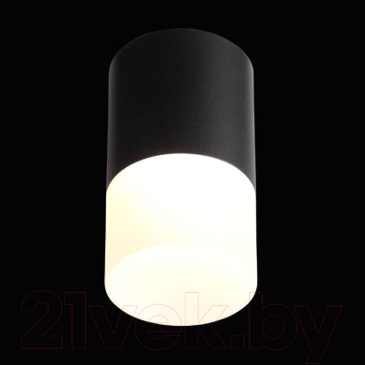 Потолочный светильник ST Luce Ottu ST100.402.10