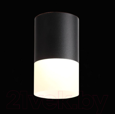 Потолочный светильник ST Luce Ottu ST100.402.10