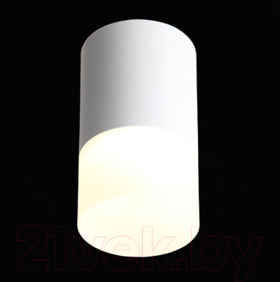 Потолочный светильник ST Luce Ottu ST100.502.05