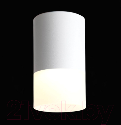 Потолочный светильник ST Luce Ottu ST100.502.05