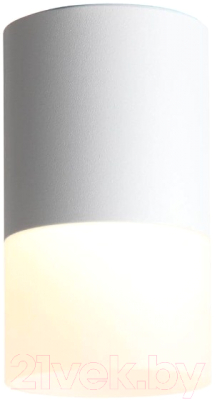 Потолочный светильник ST Luce Ottu ST100.502.10 - фото